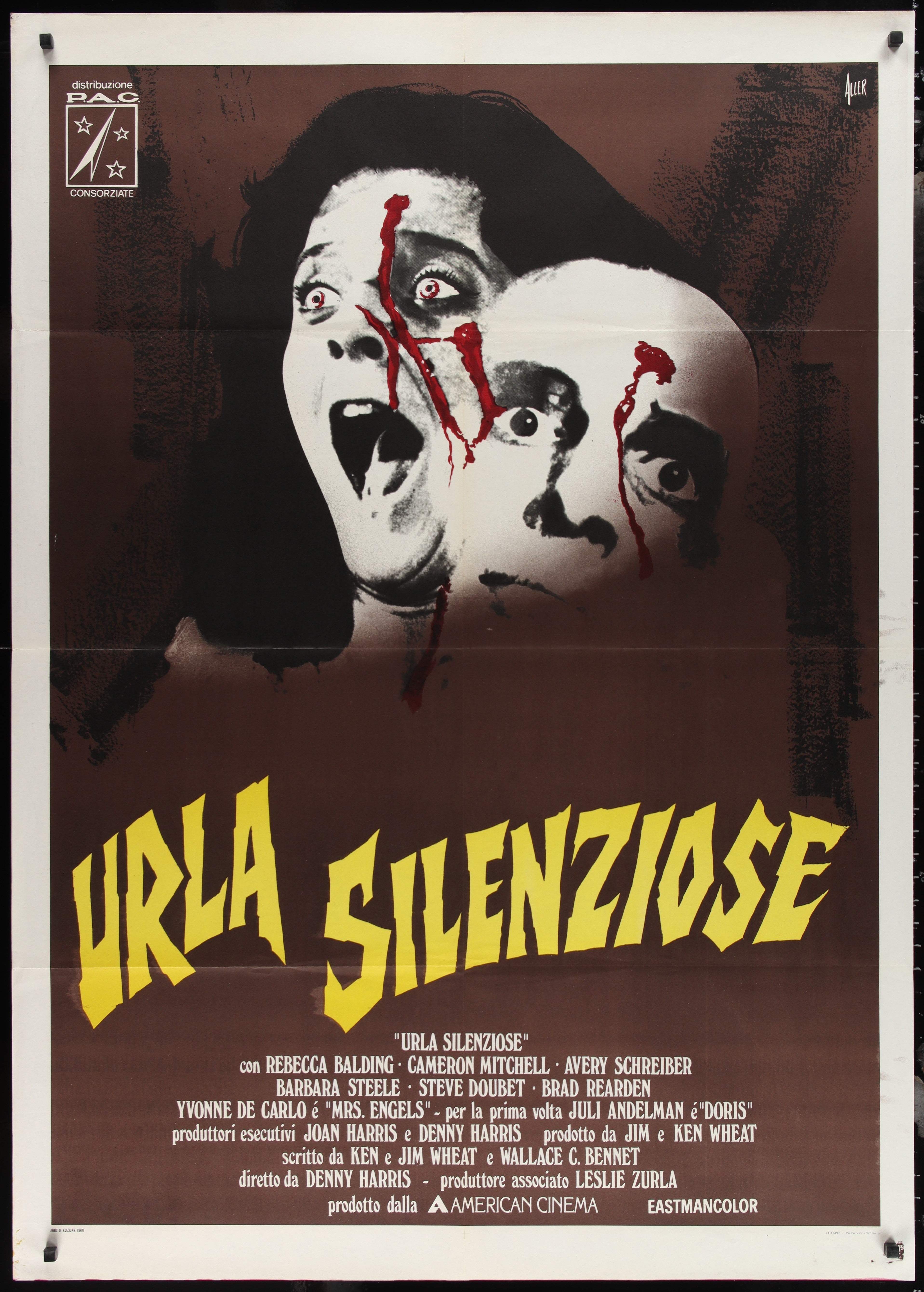 Silent Scream (1980) Original Italian One Panel Movie Poster