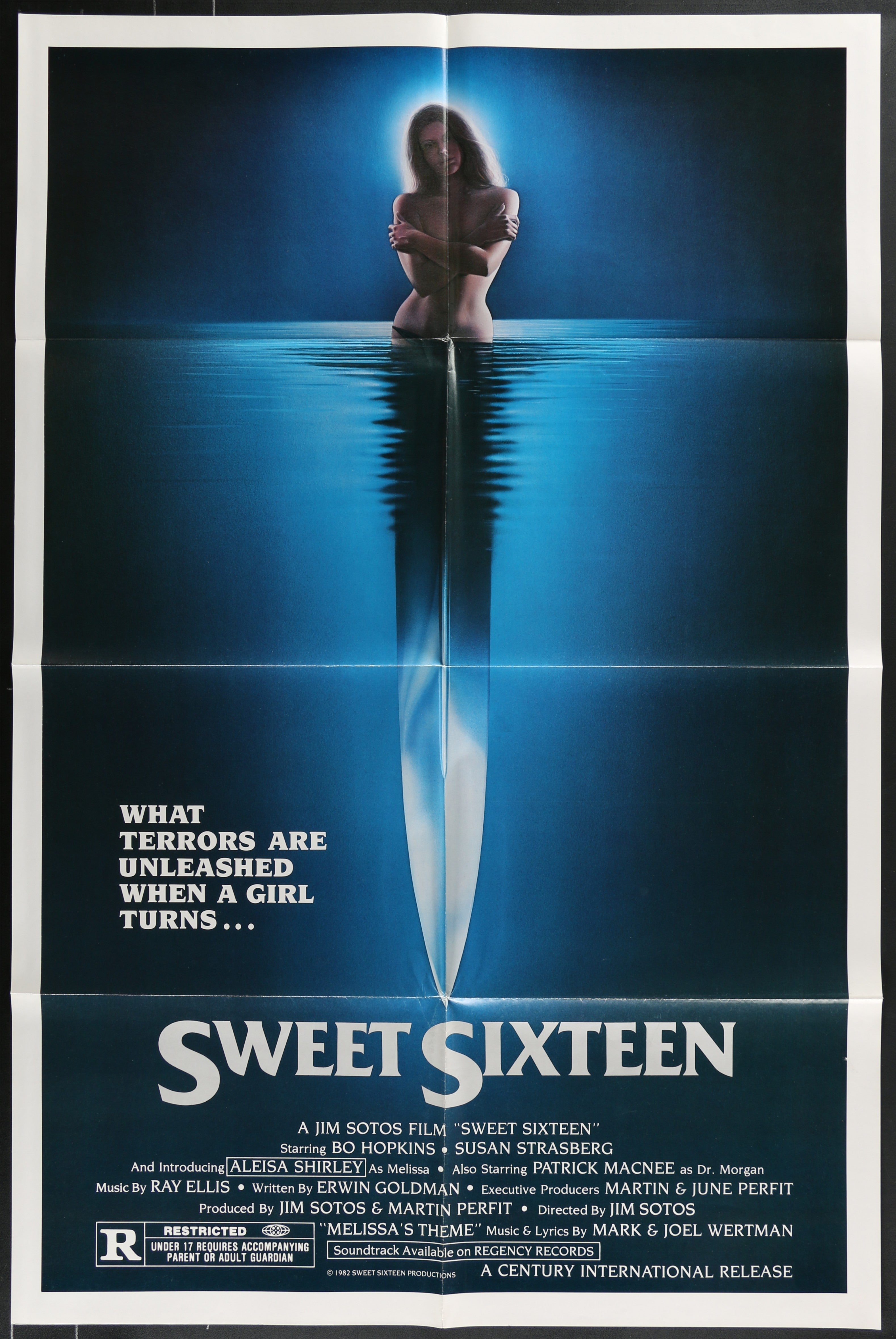 Sweet Sixteen (1982) Original US One Sheet Movie Poster