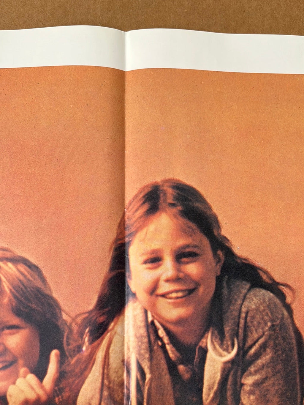 Shoot The Moon (1982) Original US One Sheet Cinema Poster