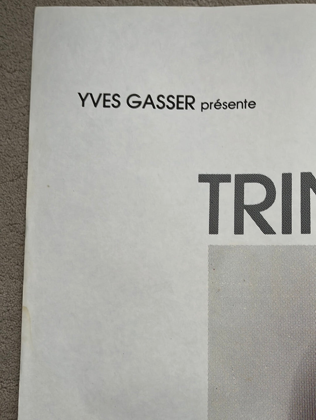 Un Assassin Qui Passe (1981) Original French One Panel Cinema Poster